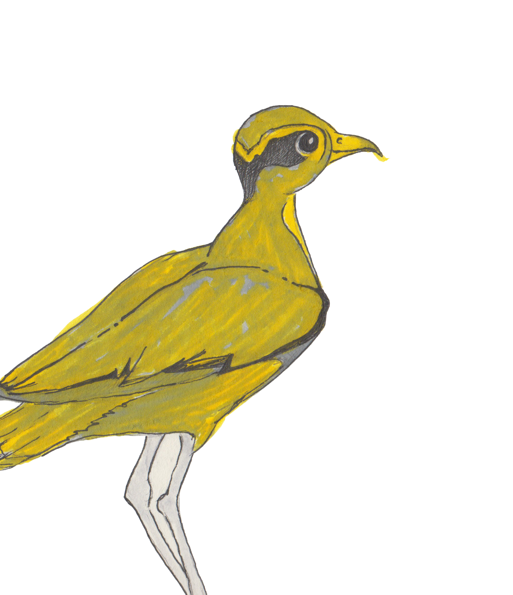 Illustration Blaumaul